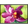 Jensendistributionservices Orchid Indoor & Outdoor Mat, 24 x 36 in. MI2555571